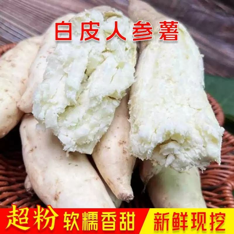 正宗人参薯白皮白心板栗薯奶香绵密粉糯香甜新鲜地瓜早餐辅食粗粮
