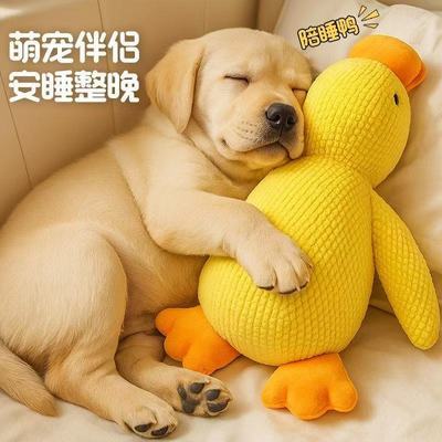 狗狗玩具宠物耐咬自嗨解闷发声神器柯基小狗犬毛绒小黄鸭磨牙用品