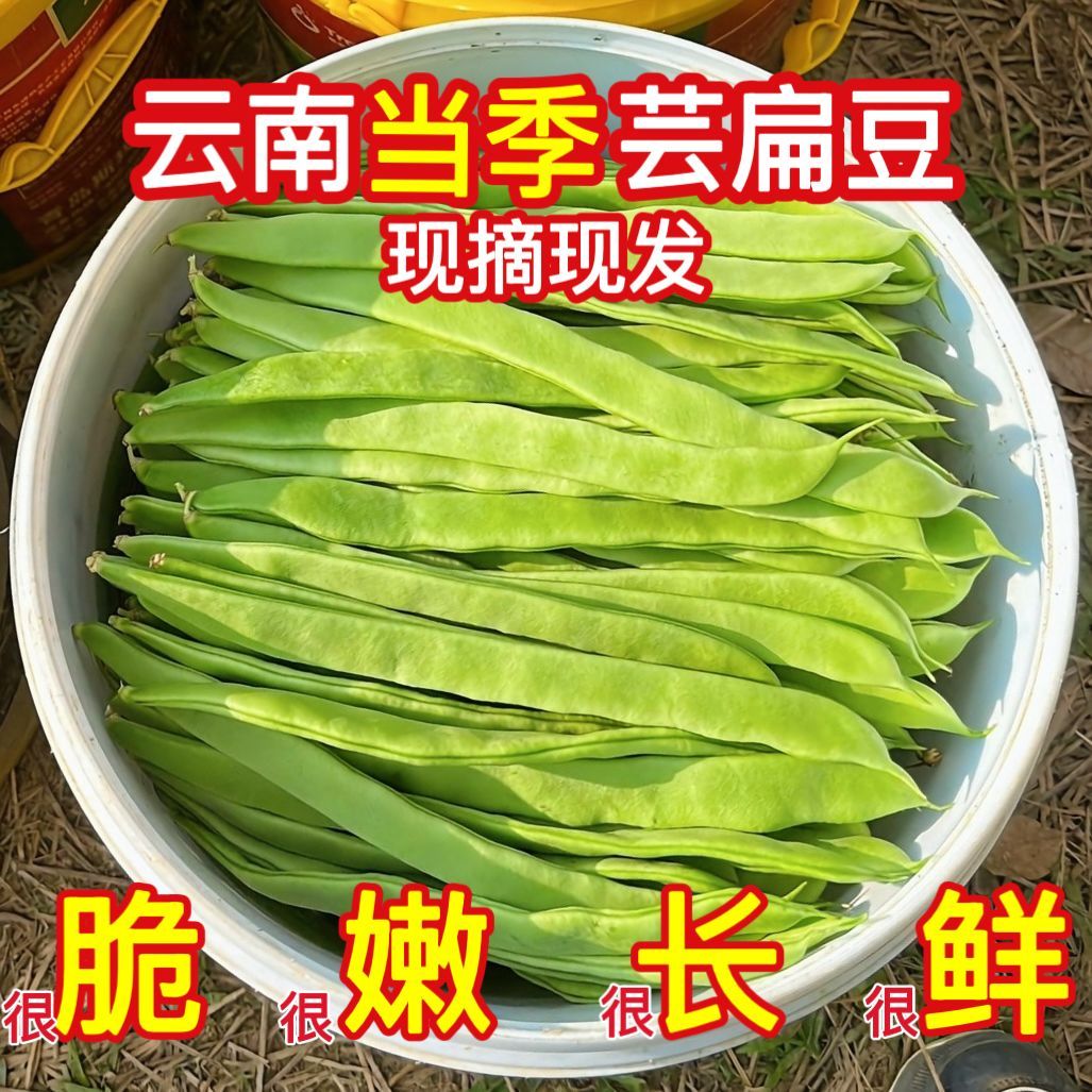 【自家种植】新鲜云南现摘高山扁豆四季豆刀豆芸豆蔬菜批发豆角
