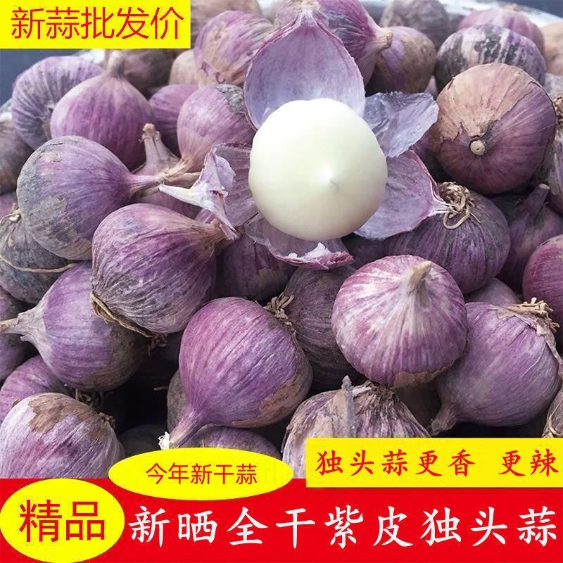 26年新干蒜紫皮独头蒜新独蒜子正宗独头蒜头当季大蒜新蒜干蒜红皮