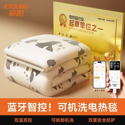 【彩阳】可水洗电热毯双人双控官方旗舰店正品宿舍单人家用除螨电褥子