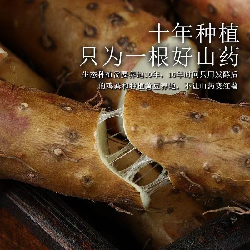 新鲜山药软糯粗款淮山药垆土怀山农家自种农产品便宜蔬菜批发河北