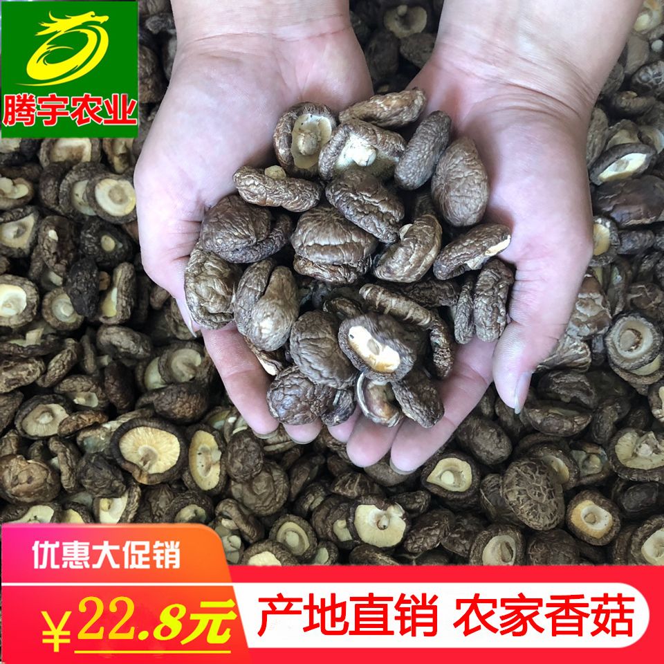 新货小香菇香菇干货包邮菇椴木干香菇金钱菇冬菇花菇支持批发