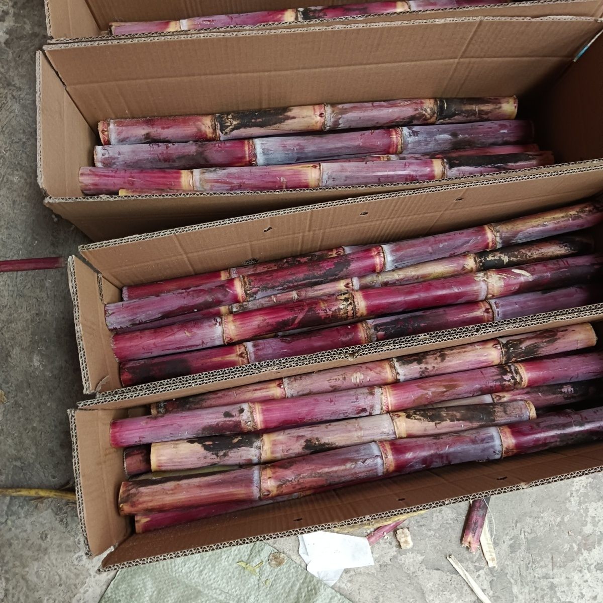 贵州正宗红皮甘蔗新鲜脆甜多汁现切头去尾带箱9斤装红皮甘蔗薄皮