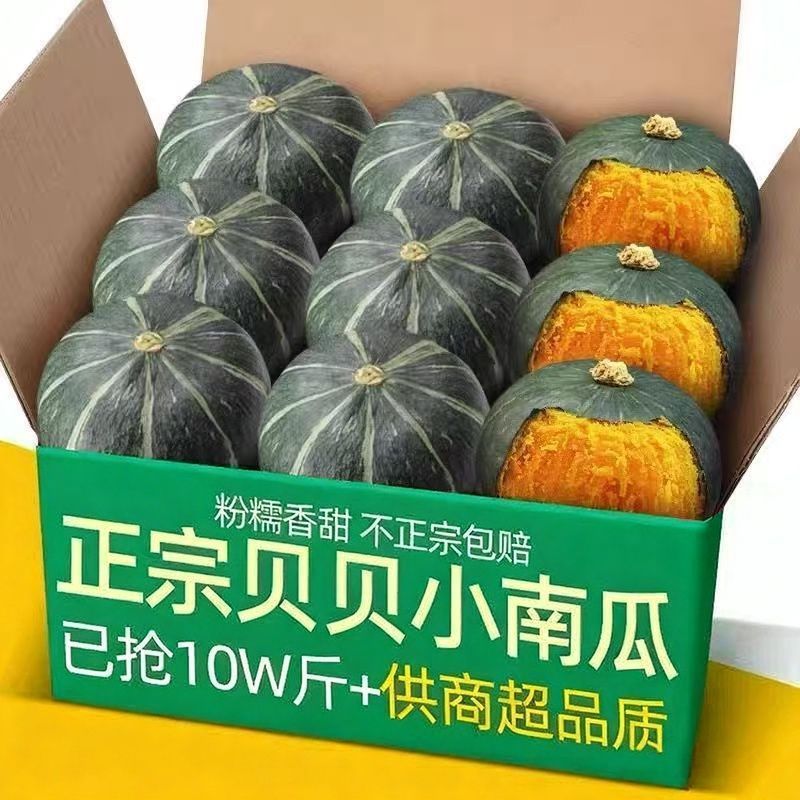 【今年新货】正宗贝贝南瓜新鲜小南瓜现摘宝宝辅食甜糯板栗小南瓜