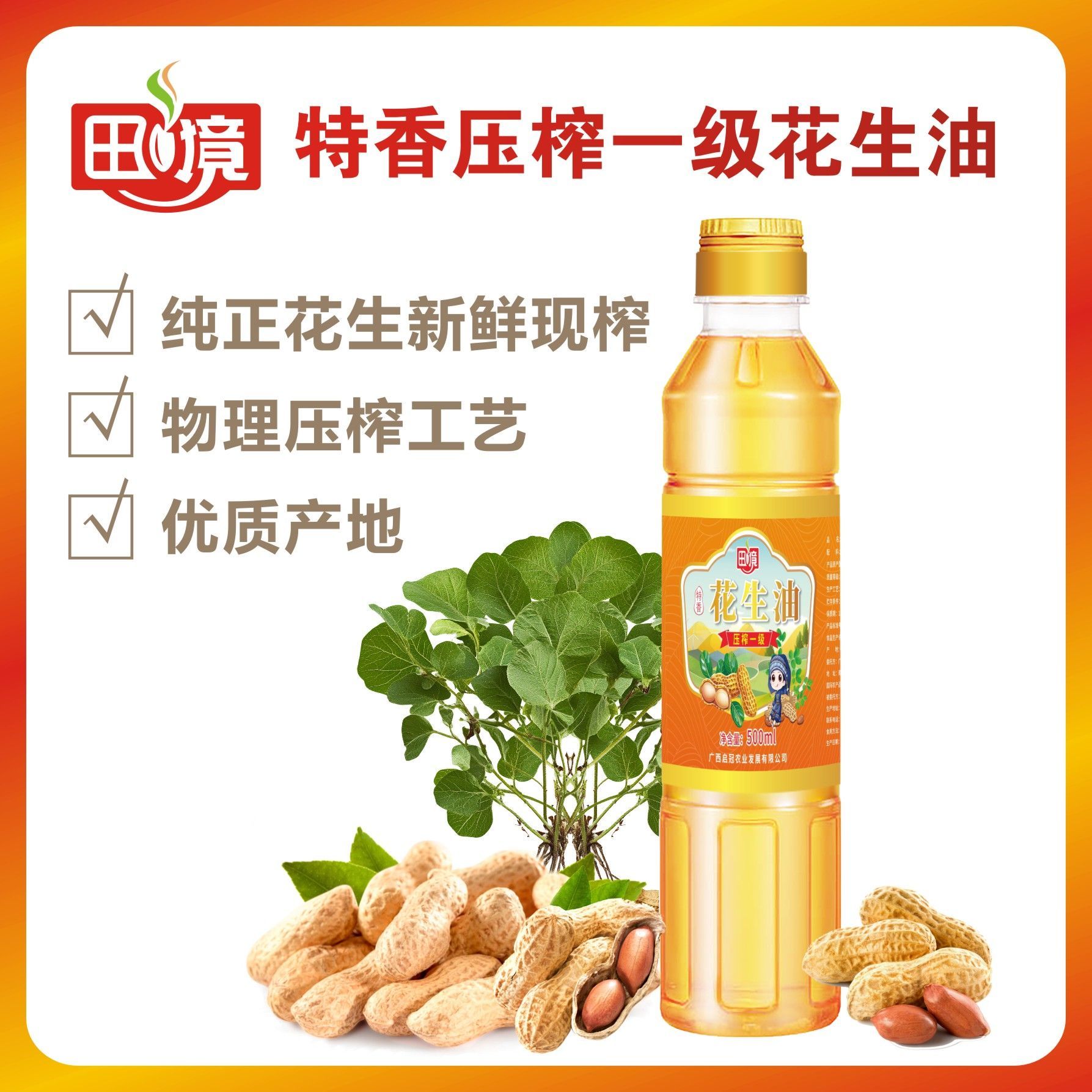 压榨500ml正宗纯正一级特香花生油炒菜家庭浓香宿舍食用油小瓶