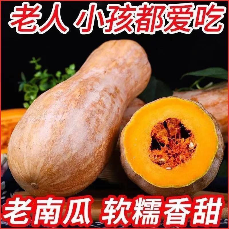 正宗蜜本南瓜当季新鲜高原农家自种甜糯香甜蔬菜蒸煮辅食