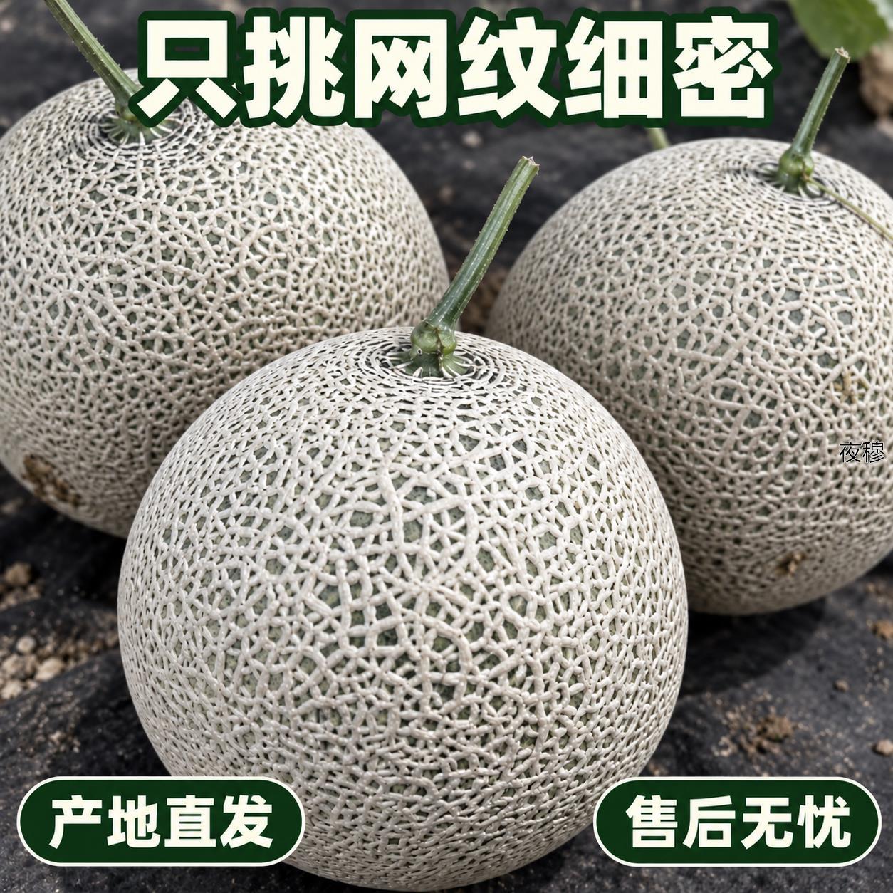 【商超品质】网纹瓜蜜瓜 绿肉多汁香甜哈密瓜 当季水果整箱包邮