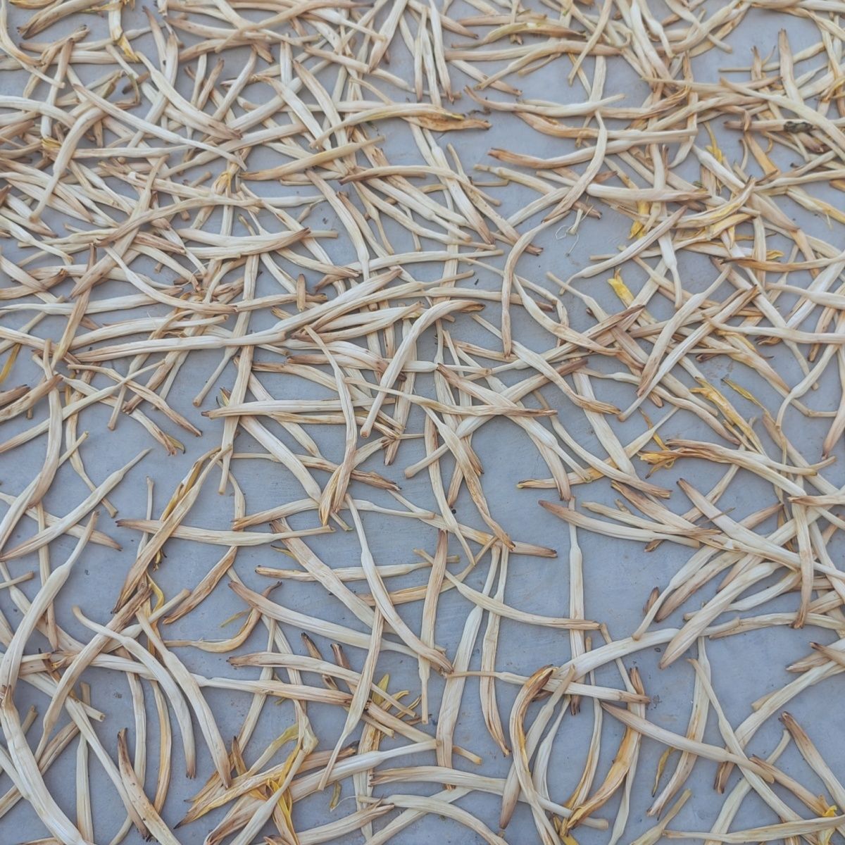 宁夏黄花菜自然晒干无硫熏商用金针菜货口感筋道特级散装优质干货