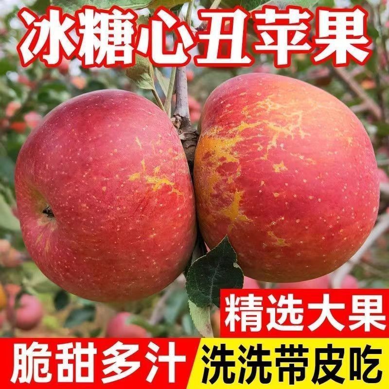 【爆甜】头茬丑苹果冰糖心现摘应季红富士苹果新鲜水果批整箱