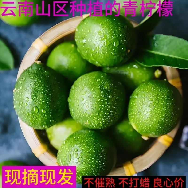 云南青柠檬2斤装新鲜柠檬薄皮多汁奶茶店腌制组合小青柠鲜果整箱