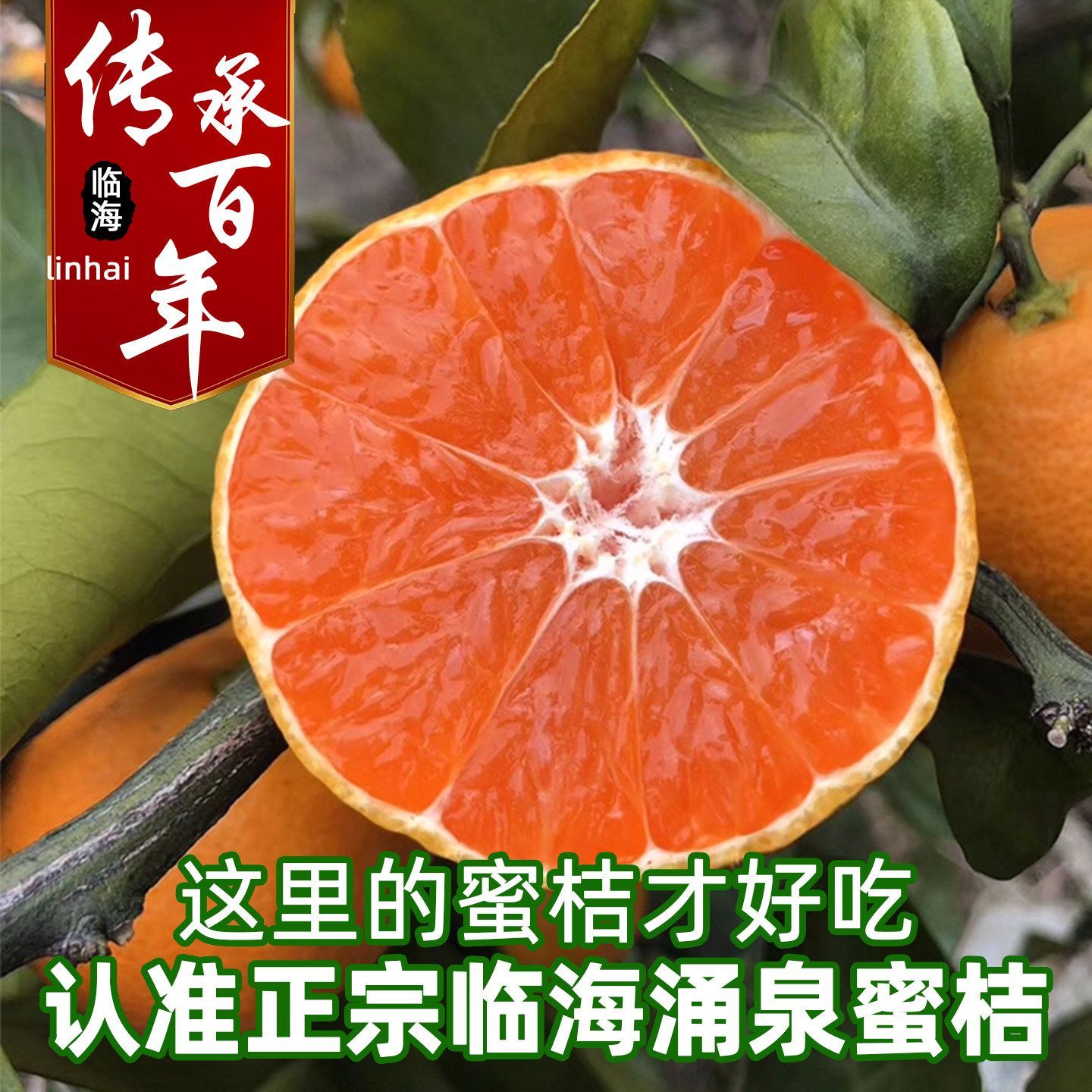 定制配件正宗临海高山涌泉蜜桔孕妇当季新鲜桔子水果无核蜜橘无籽