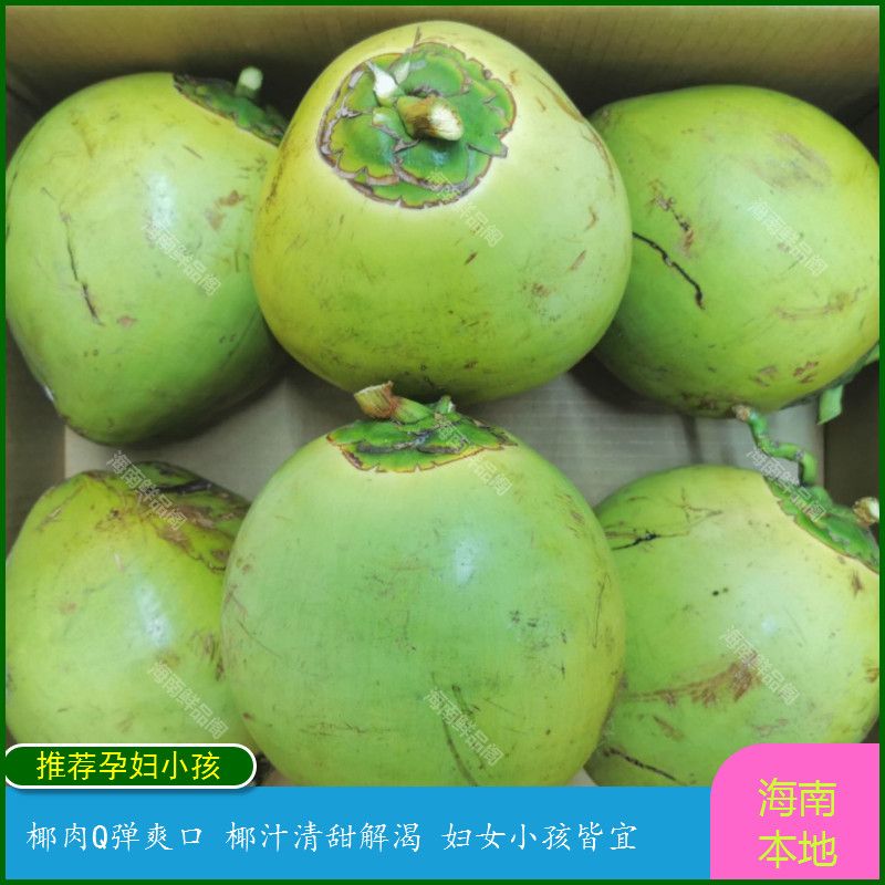 椰青正宗海南文昌现摘新鲜带皮青椰子孕妇小孩天然饮料