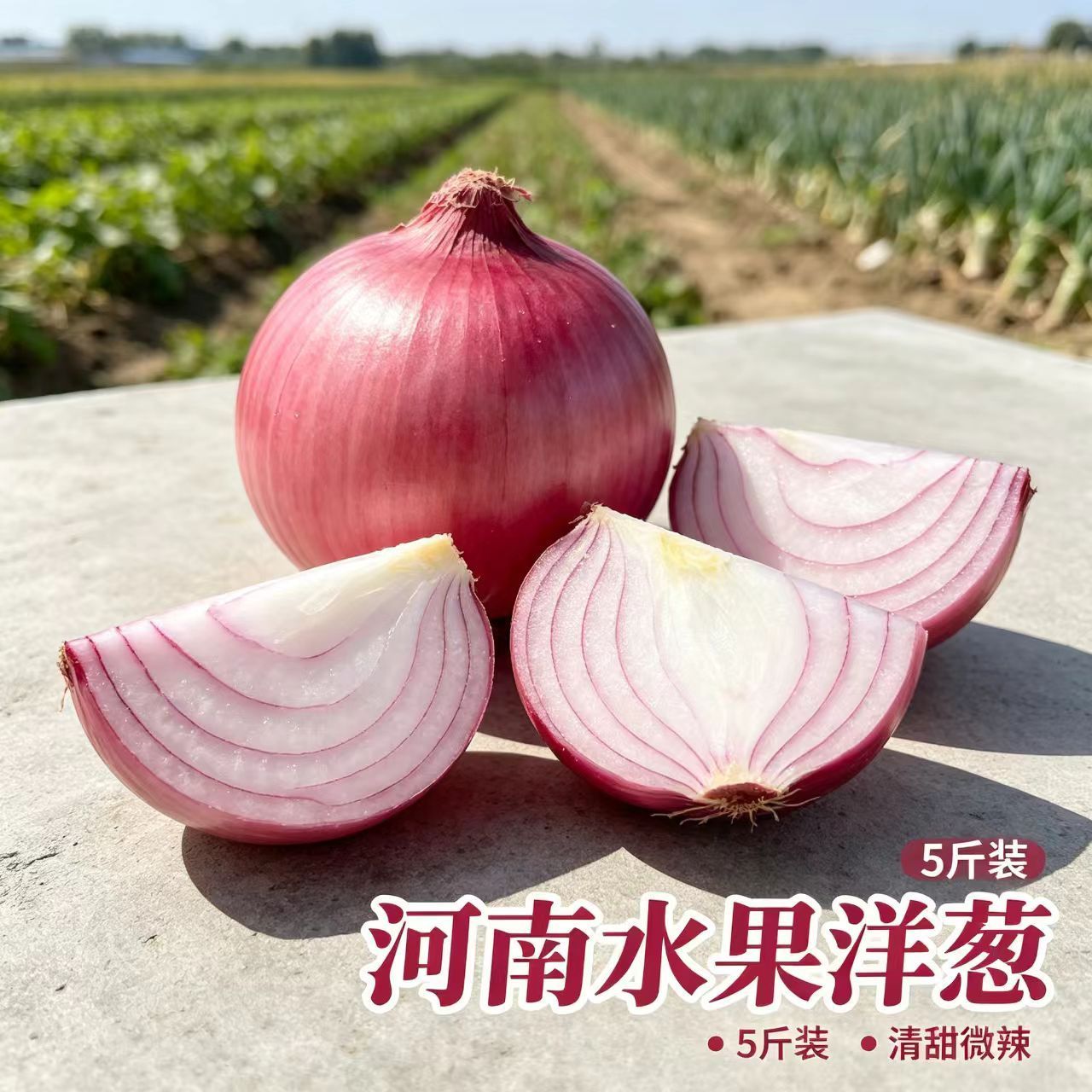 2026当季河南水果洋葱5斤紫皮红皮扁圆葱生吃脆甜微辣现挖鲜葱