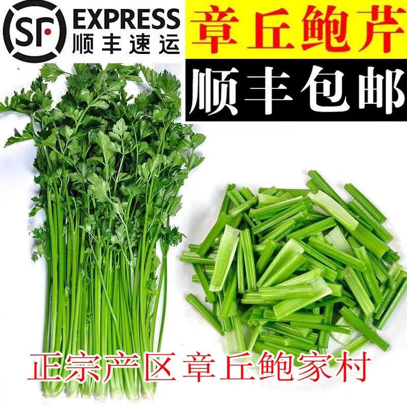 正宗章丘鲍芹春季野菜搭配顺丰包邮山东特产产地酒店礼盒爆炒做馅