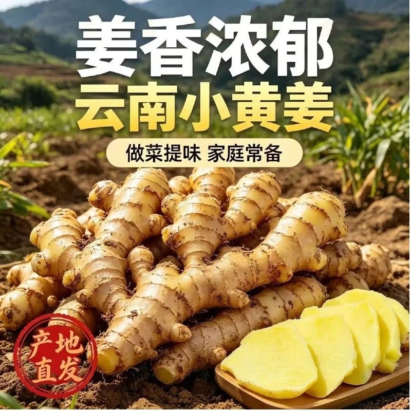 【精选品质姜】正宗云南小黄姜香辣辛辣十足老姜生姜产地直发包邮