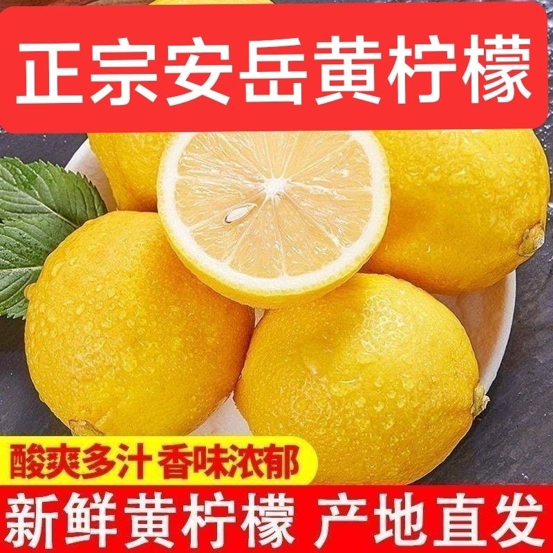 四川安岳新鲜柠檬水果当季鲜果批发薄皮奶茶专用商用泡水三级果