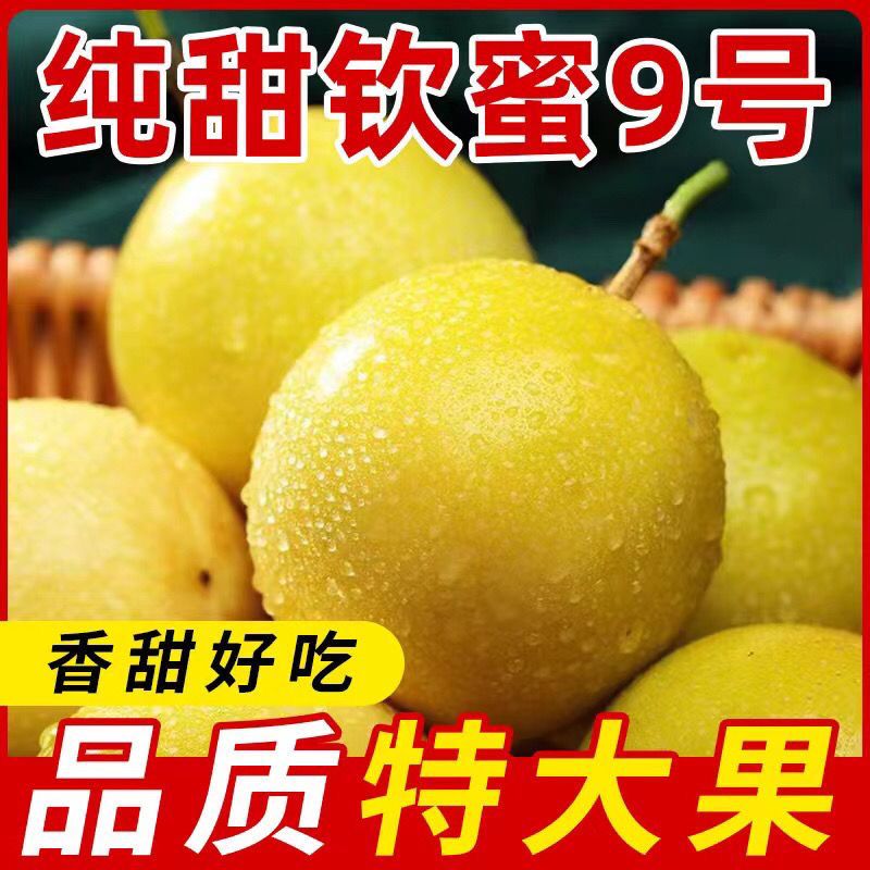 广西钦蜜黄金百香果黄皮黄心纯甜现摘当季优选新鲜水果蜂蜜味大果