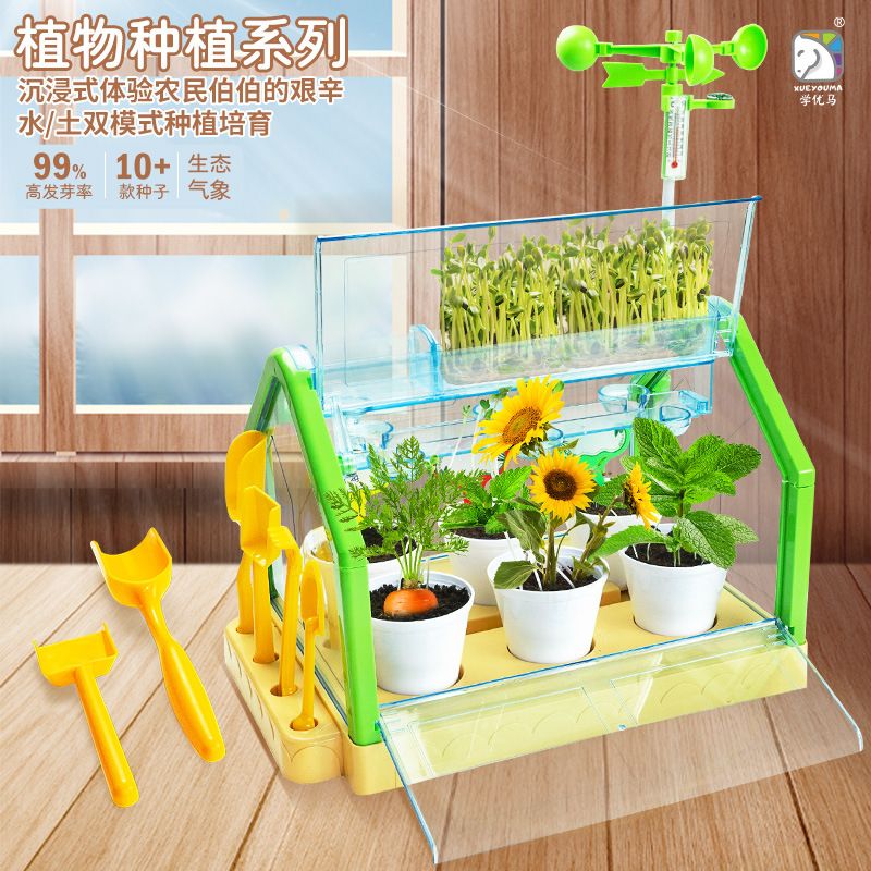 种植阳光房植物生长种菜养花生态玩具科学小实验观察盒豪华大号
