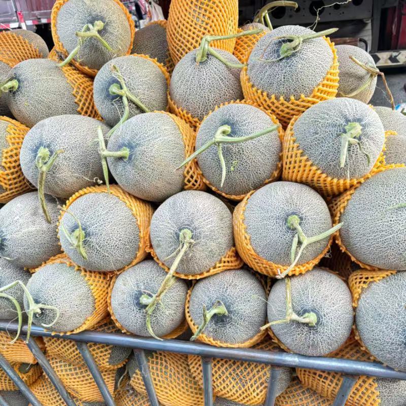 新疆哈密瓜脆甜多汁新鲜水果量大批发就是好吃 大个头瓜约5-6斤