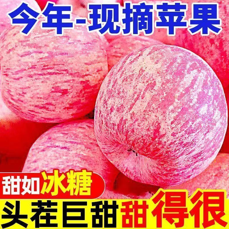 【爆甜】正宗陕西红富士苹果当季新鲜脆甜冰糖心孕妇水果整箱批发