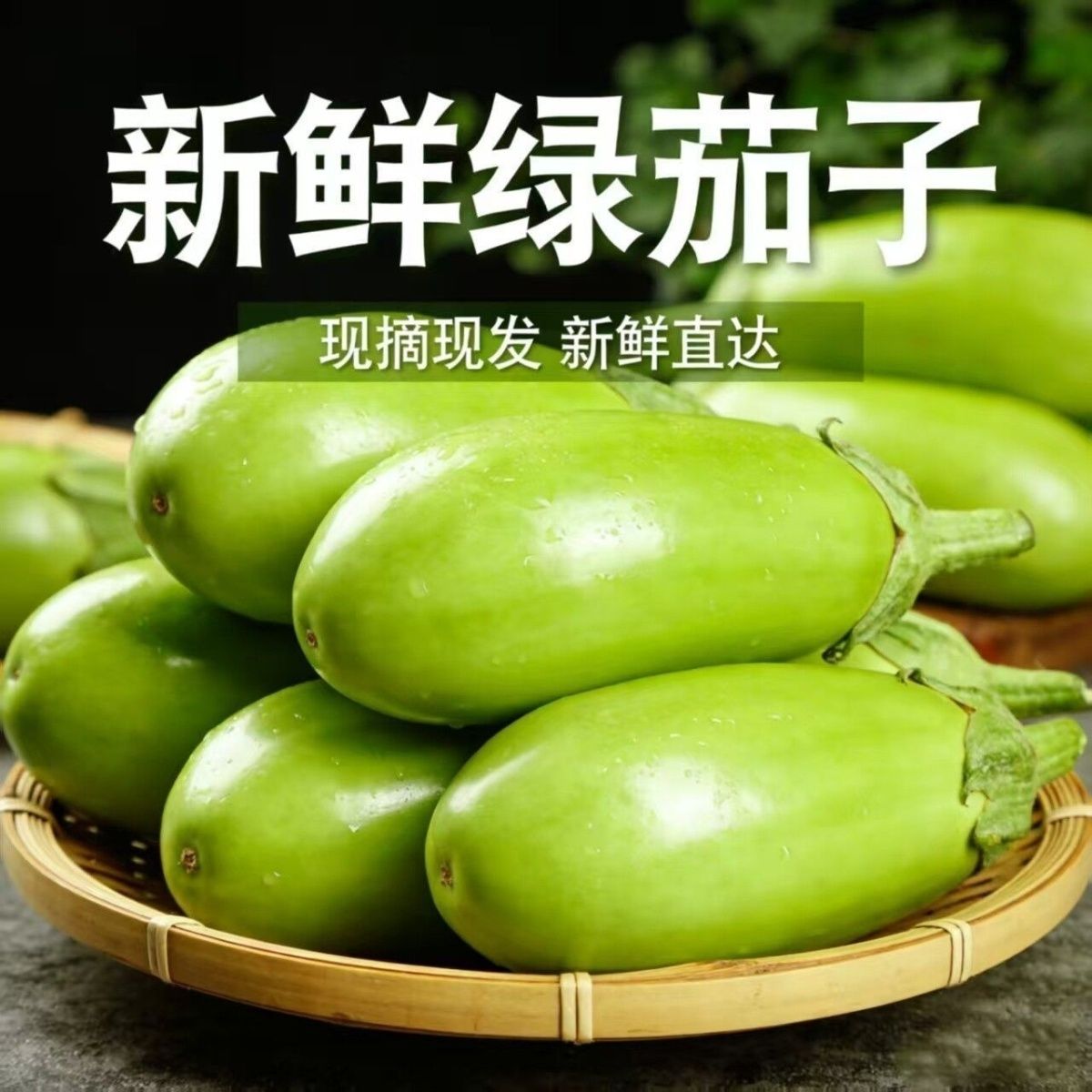 青茄子4月份当季青皮绿茄子新鲜蔬菜现摘买菜批发餐厅超市便宜