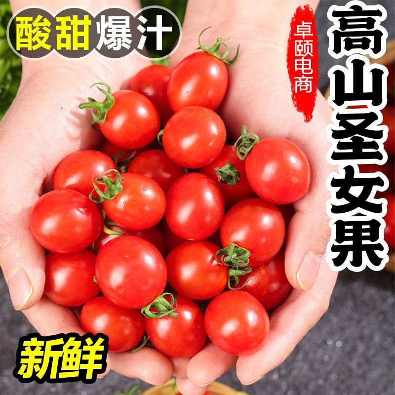 【精选】新鲜云南高山圣女果生吃水果小番茄2.5斤/4.5斤红色番茄
