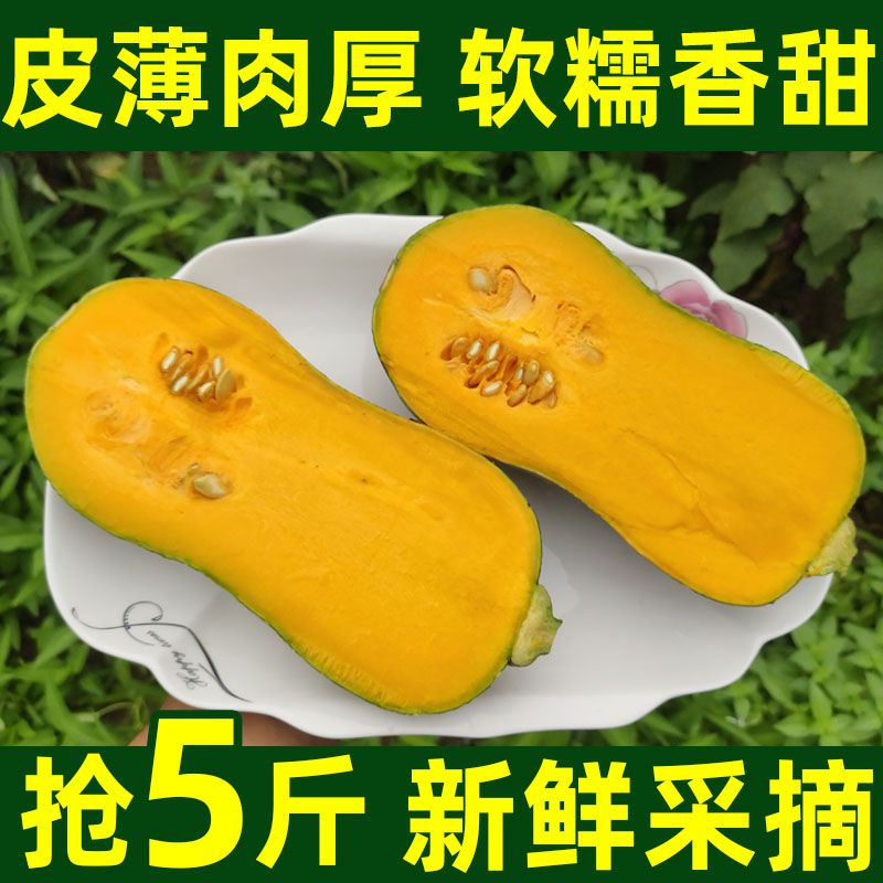 当季新鲜金香南瓜面甜农家自种老南瓜花生南瓜板栗味宝宝辅食减脂