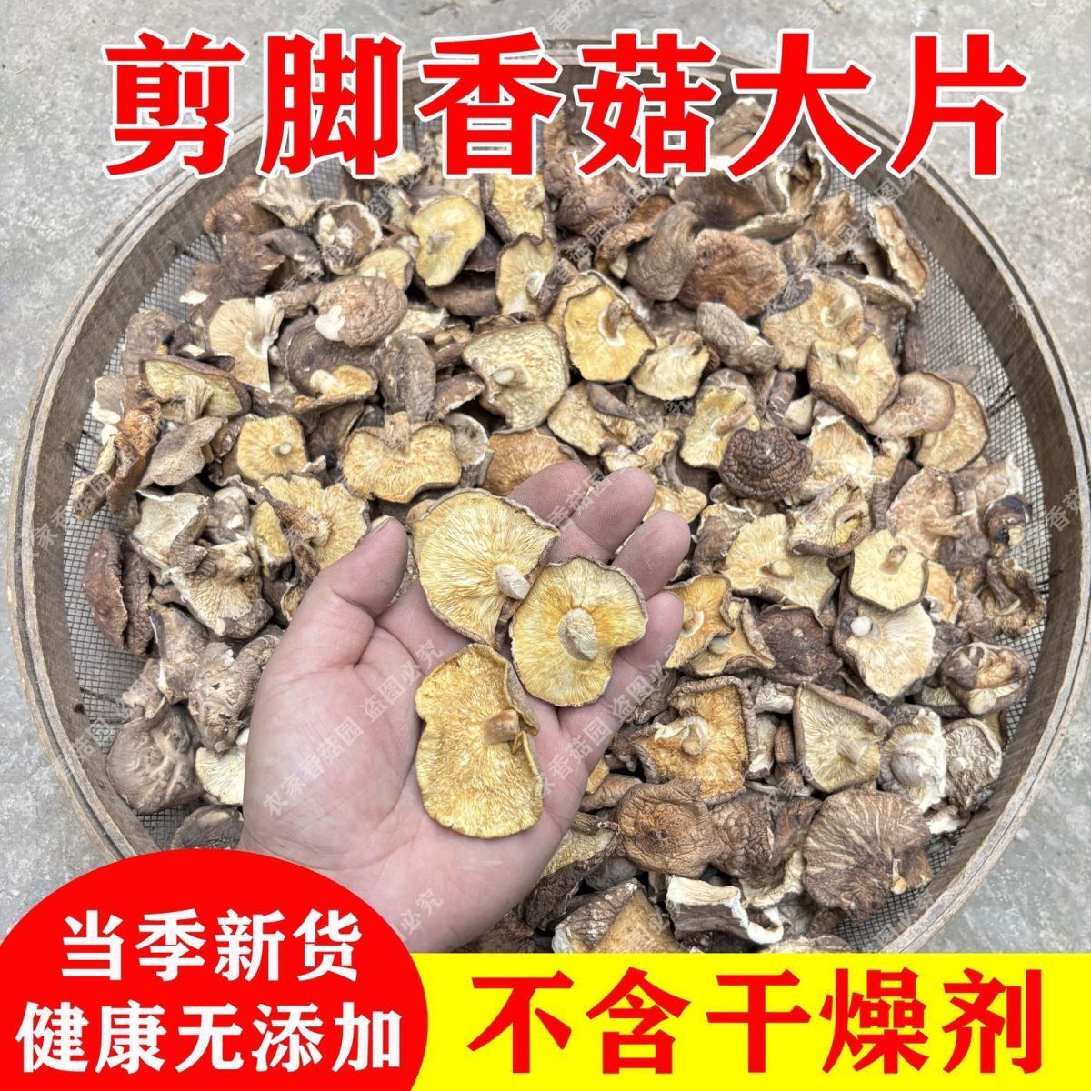 新货香菇碎片干货干净无干燥剂包子饺子云吞馅料薄片打卤做酱食材