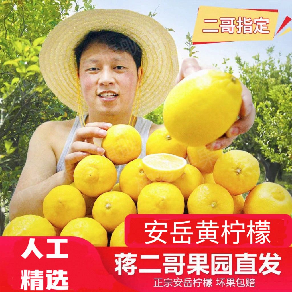 正宗安岳黄柠檬中大果泡茶凤爪切片榨汁孕妇泡茶奶茶商用批发