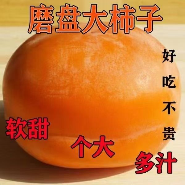 河北正宗新鲜磨盘柿子盆柿软柿子应季水果当季整箱软甜现摘现发