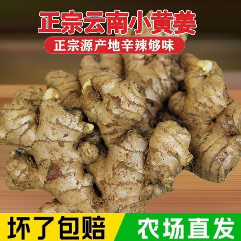 带箱5斤农家自种云南新鲜小黄姜生姜老姜批发正宗山地姜蔬菜1斤
