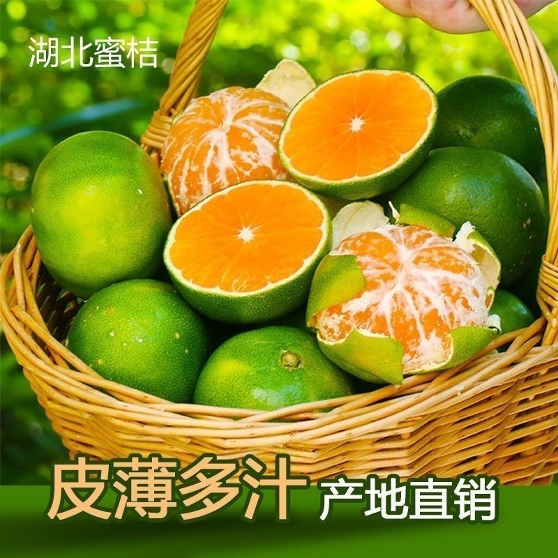 9斤湖北无籽蜜桔当季新鲜水果橘子皮薄多汁酸甜可口蜜橘