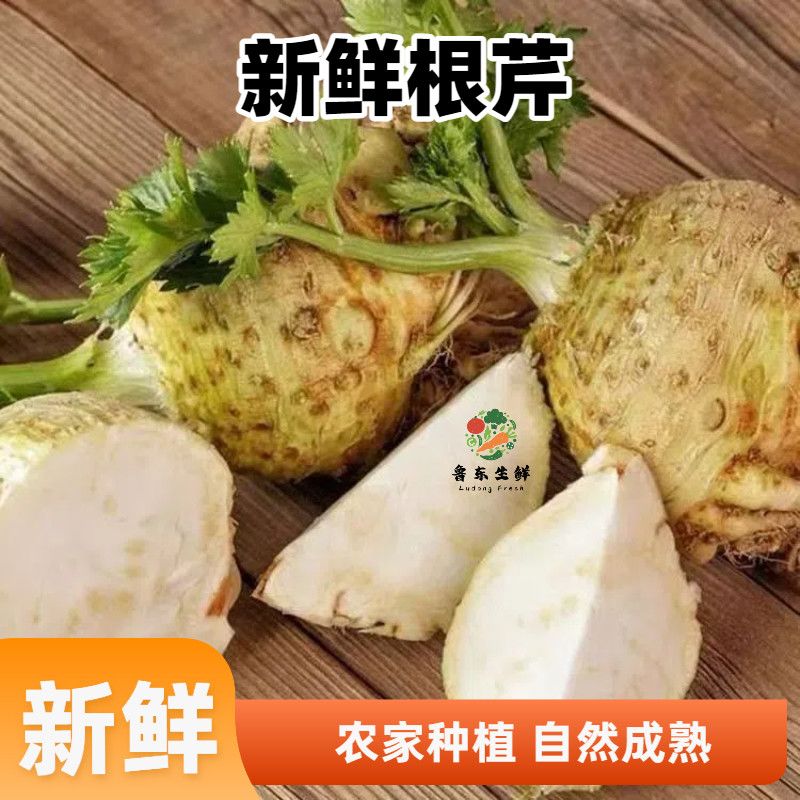 【山东寿光】现挖现发新鲜根芹芹菜根酒店食材食用农家种植自然熟