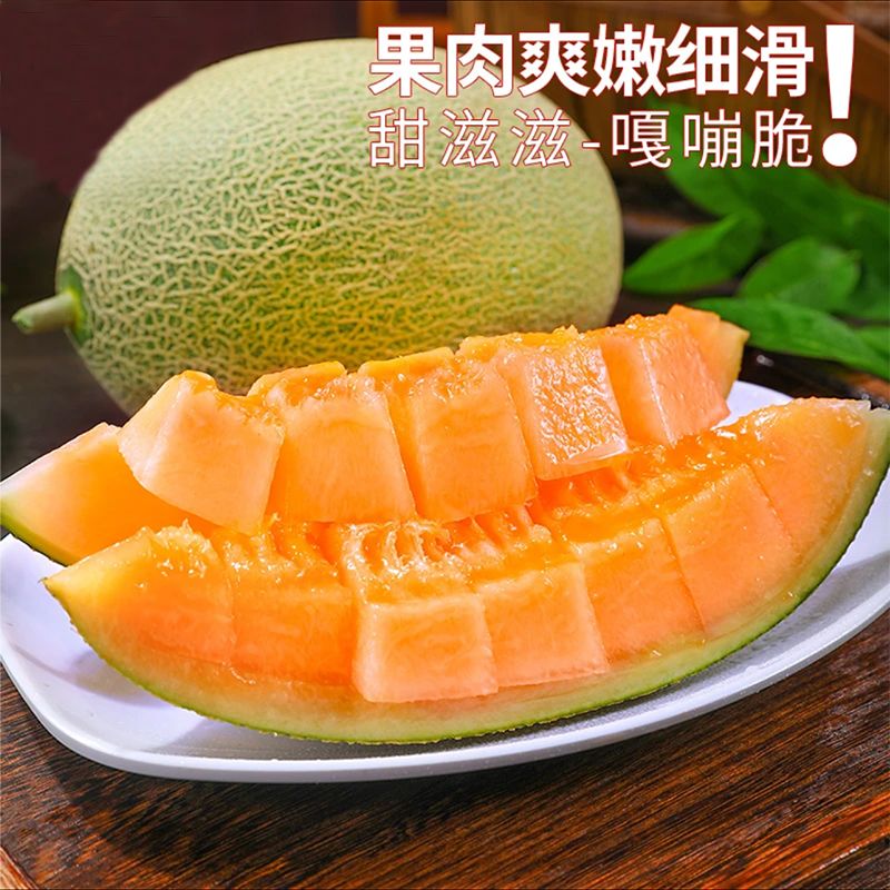 瓜州直发正宗哈密瓜水果当季新鲜晓密整箱批发脆甜多汁西州蜜