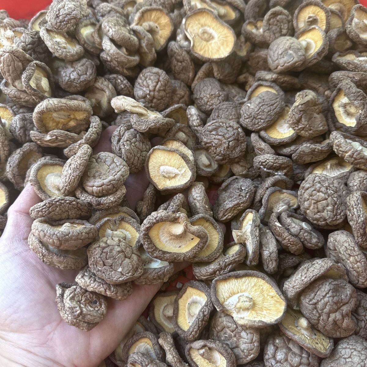 西村关嫂香菇袋装干货批发无干燥剂肉厚剪根冬菇煲汤佳品【4天内发货】