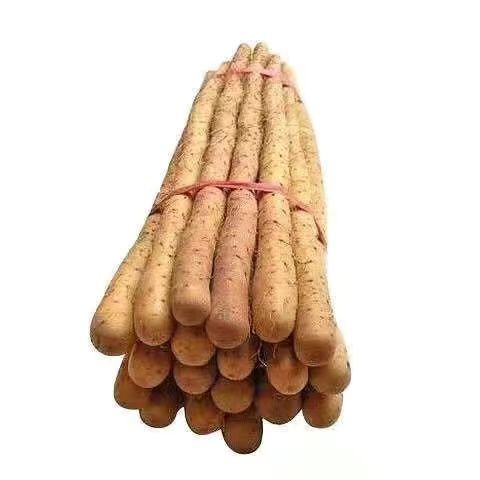 铁棍山药正宗现挖垆土淮山药小白嘴营养绿色蔬菜精选粉糯面香煲汤