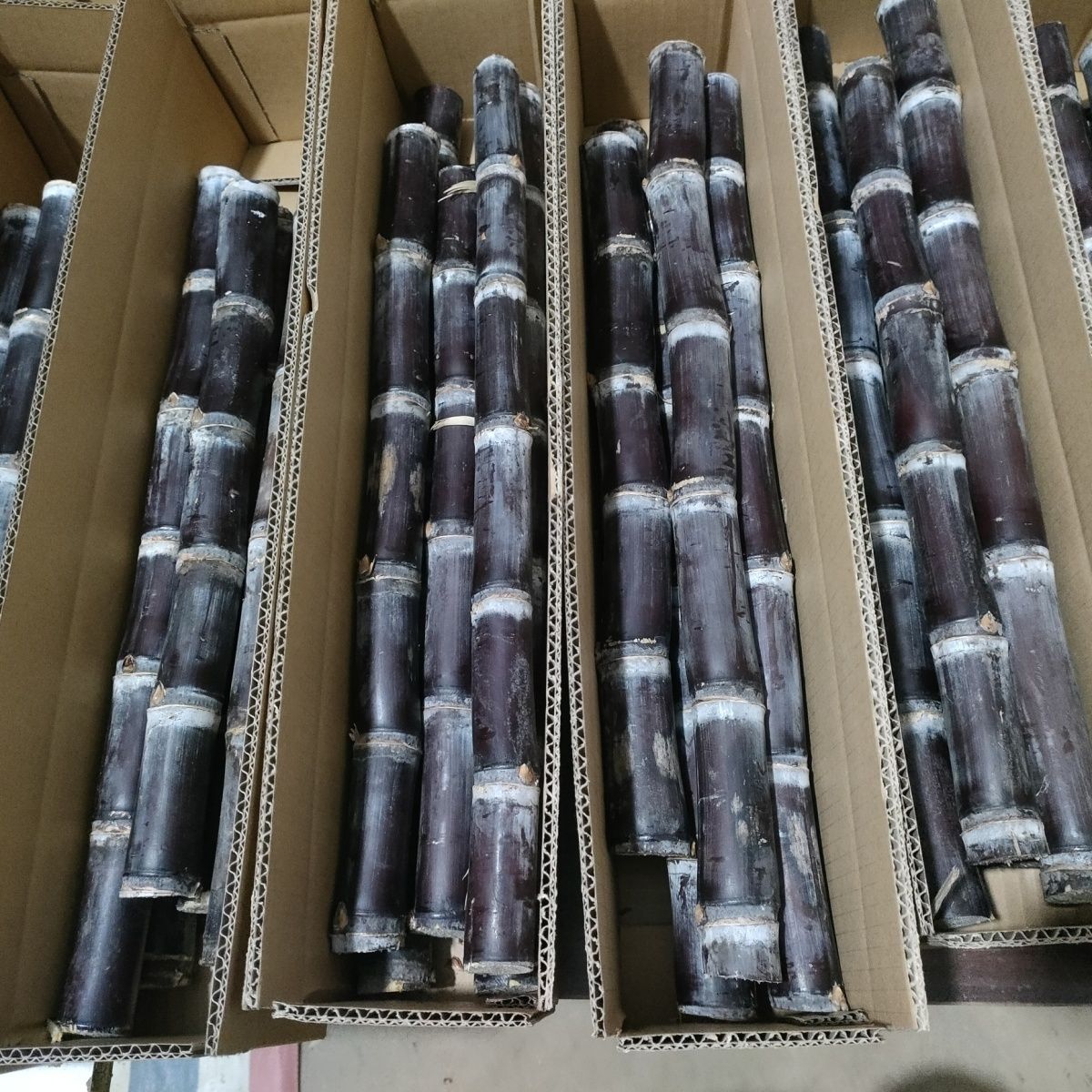 超低价正宗广西黑皮甘蔗超甜新鲜应季水果紫皮中段5斤装产地直发