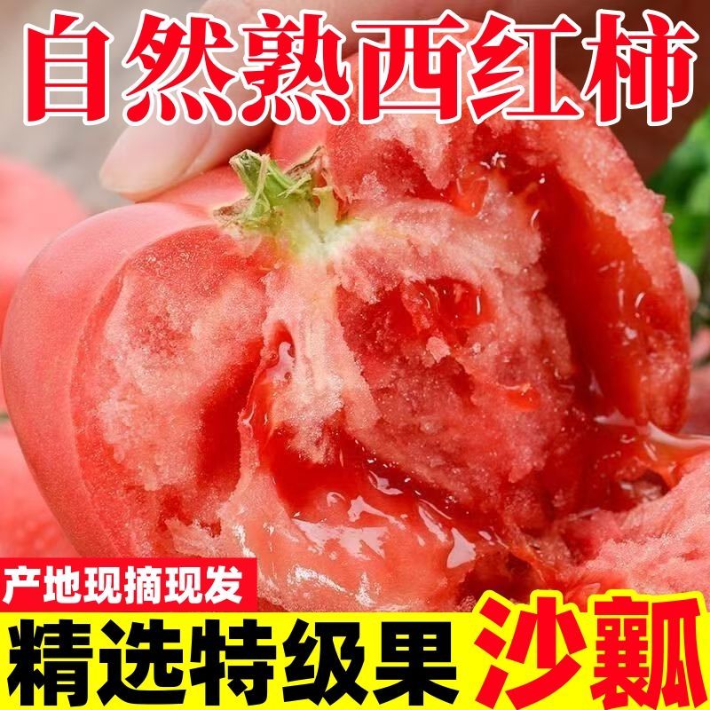 【彩箱】攀枝花沙瓤番茄露天西红柿新鲜自然熟新鲜水果番茄大番茄