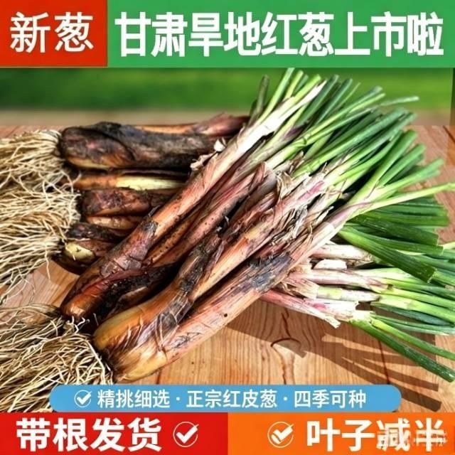 甘肃旱地山地红葱炖肉红皮煲汤正宗炒菜饺子新鲜批发炖汤农户自销