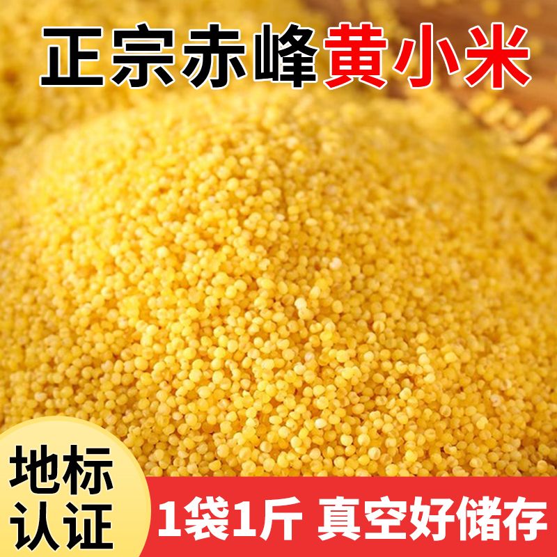 【赤川】当季新米内蒙赤峰敖汉正宗黄小米农家五谷杂粮油厚小米粥新鲜