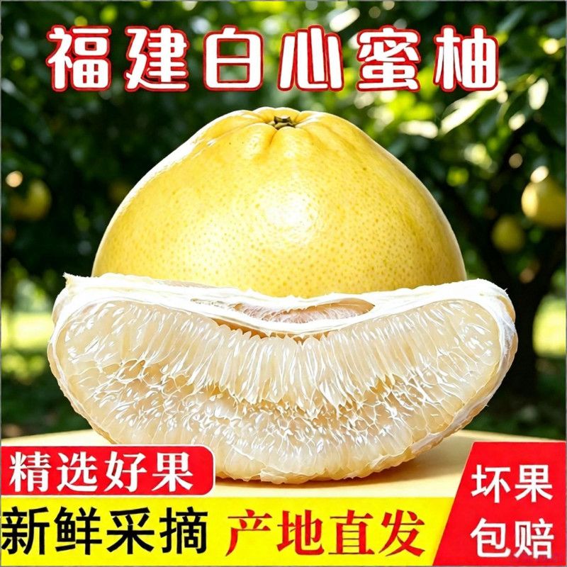 【太便宜了】正宗福建冰糖蜜柚老树白心柚子新鲜水果超甜白柚批发