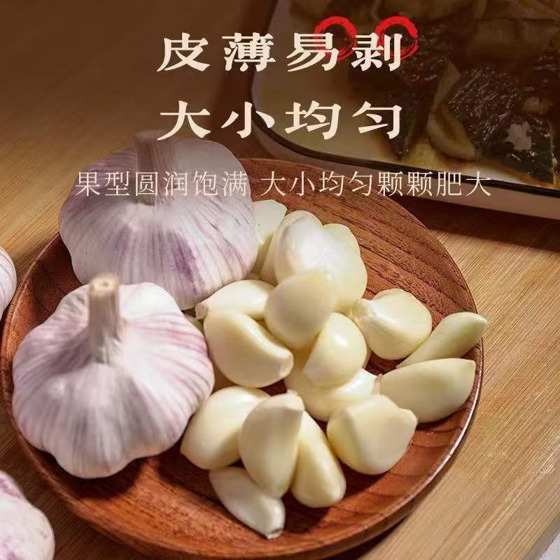 正宗杞县新鲜大蒜2026年干大蒜头紫白皮蒜批发9斤便宜大个头