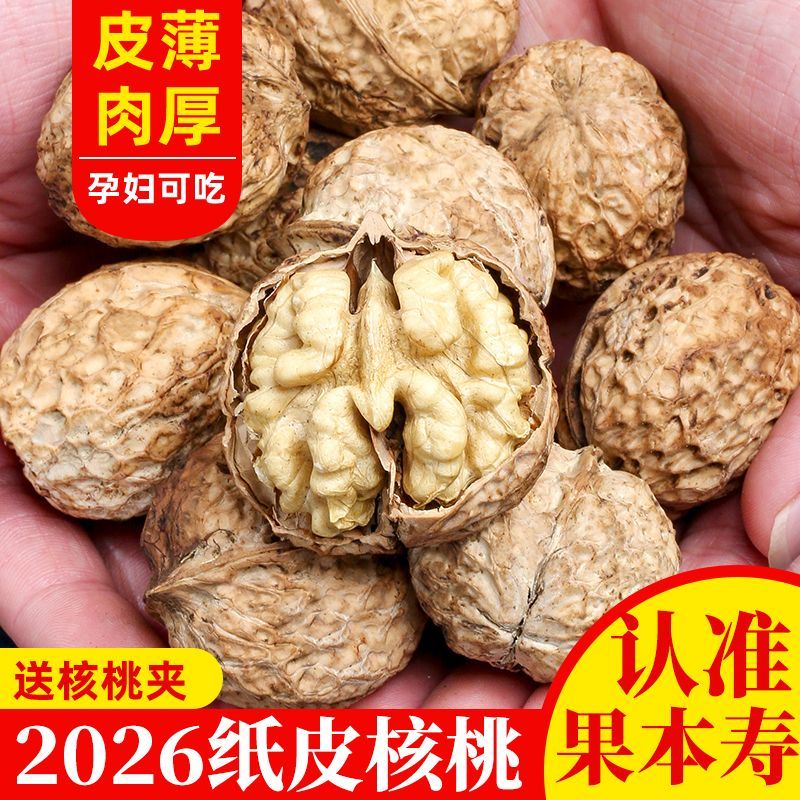 2026年云南新货核桃纸皮核桃薄皮核桃薄壳核桃特级核桃山核桃批发