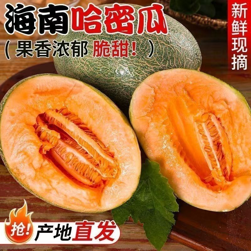 正宗海南哈密瓜脆甜现摘大果新鲜应季哈密瓜带箱应季水果礼盒当季