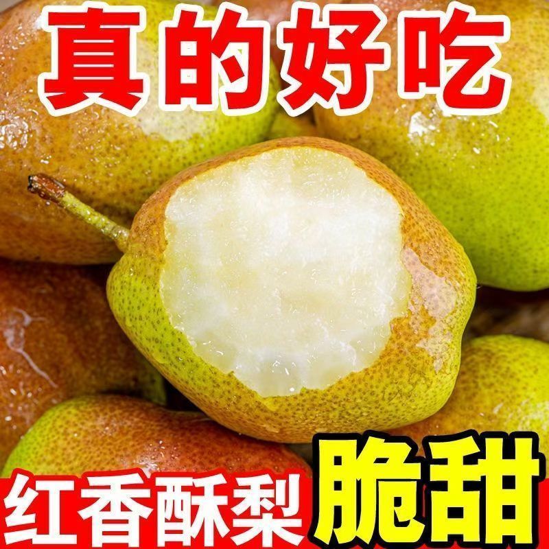 【头茬】正宗红香酥梨红香新鲜当季水果应季香梨薄整箱薄皮直发