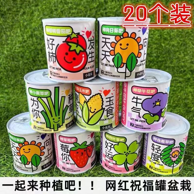 儿童罐头创意小盆栽礼物栽培桌面迷你绿植草莓向日葵种植种子盲盒