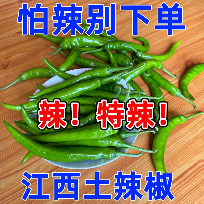 特辣辣椒超辣江西本地新鲜青辣椒农民种植土辣椒香辣薄皮虎皮尖椒