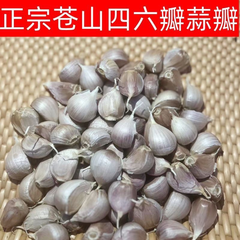 老品种非转基因正宗山东四六瓣大蒜四六瓣大蒜纯蒜瓣批发