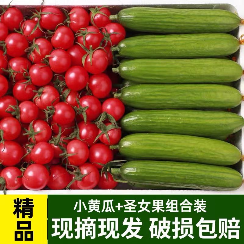 【澳农卡】水果小黄瓜圣女果组合装新鲜樱桃小番茄西红柿小青瓜2/4斤